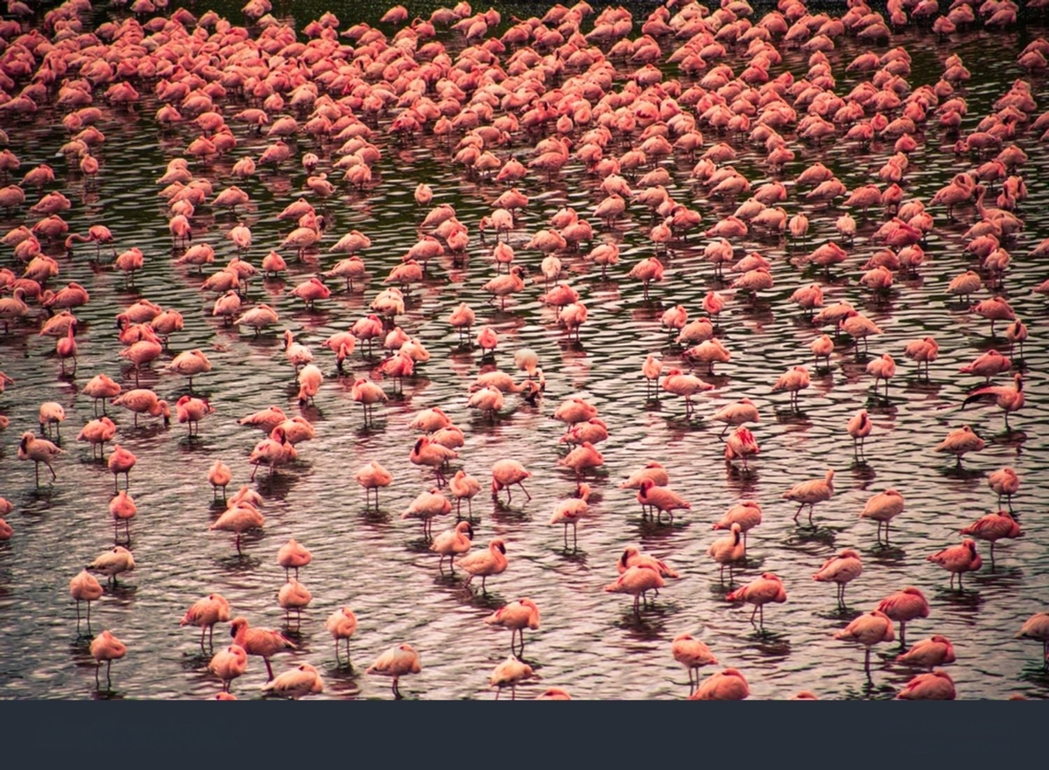 Arusha National Park during the shoulder season