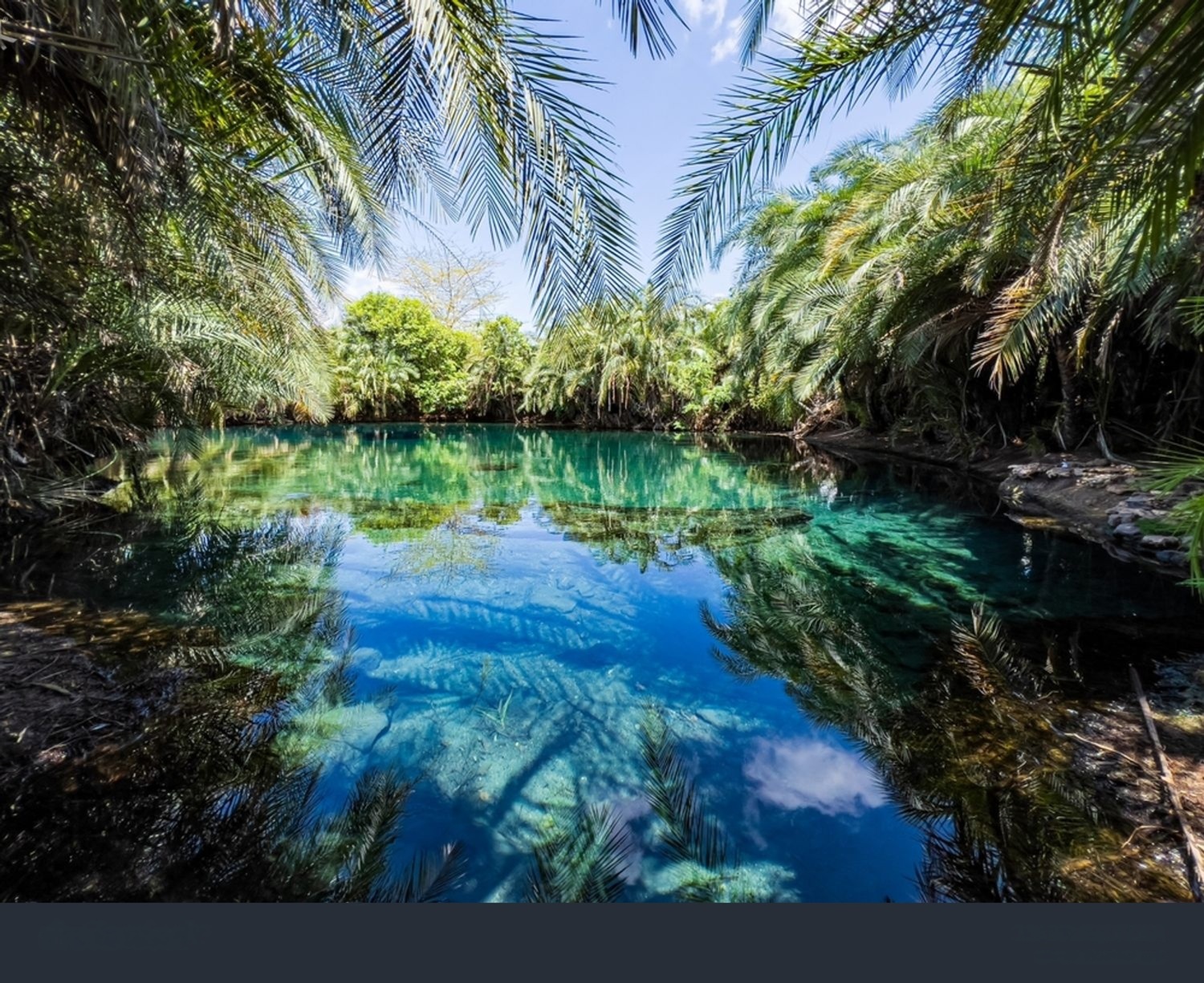 Chemka waterfalls surrounded by lush vegetation
