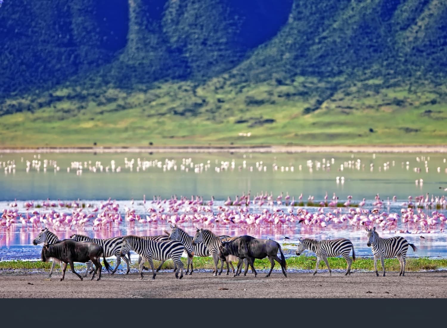 Ngorongoro Crater